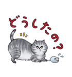 サバトラねこの毎日 5（個別スタンプ：30）