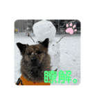 日台犬合作の台湾華語すたんぷ（個別スタンプ：9）