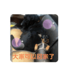 日台犬合作の台湾華語すたんぷ（個別スタンプ：23）