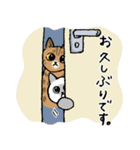 【敬語】猫なのに丁寧 -シャムとキジトラ-（個別スタンプ：1）