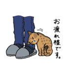 【敬語】猫なのに丁寧 -シャムとキジトラ-（個別スタンプ：2）