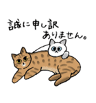 【敬語】猫なのに丁寧 -シャムとキジトラ-（個別スタンプ：11）