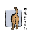 【敬語】猫なのに丁寧 -シャムとキジトラ-（個別スタンプ：22）