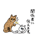 【敬語】猫なのに丁寧 -シャムとキジトラ-（個別スタンプ：33）