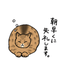 【敬語】猫なのに丁寧 -シャムとキジトラ-（個別スタンプ：35）