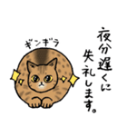 【敬語】猫なのに丁寧 -シャムとキジトラ-（個別スタンプ：36）