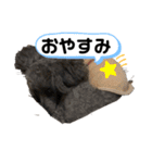といぷーどるさんの毎日（個別スタンプ：4）