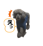 といぷーどるさんの毎日（個別スタンプ：5）