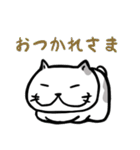 ふぬけねこ（個別スタンプ：37）