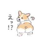 犬猫生活わんにゃん応援スタンプ（個別スタンプ：13）