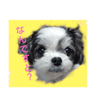 coco nuts（個別スタンプ：2）