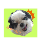 coco nuts（個別スタンプ：3）