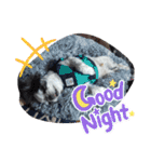 coco nuts（個別スタンプ：10）