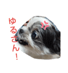 coco nuts（個別スタンプ：15）