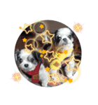 coco nuts（個別スタンプ：16）