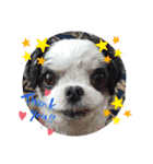 coco nuts（個別スタンプ：18）