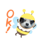 coco nuts（個別スタンプ：23）
