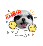 coco nuts（個別スタンプ：25）