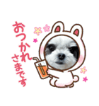 coco nuts（個別スタンプ：27）