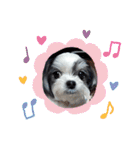coco nuts（個別スタンプ：32）