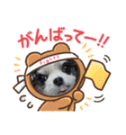 coco nuts（個別スタンプ：35）