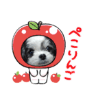 coco nuts（個別スタンプ：37）