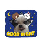coco nuts（個別スタンプ：38）
