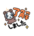 coco nuts（個別スタンプ：39）