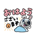coco nuts（個別スタンプ：40）