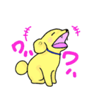 愛犬バッキー（個別スタンプ：25）