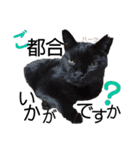 ハーツ保護猫シェルター支援・仕事他（個別スタンプ：32）