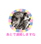 かわいいさくらちゃんマリンちゃん（個別スタンプ：5）