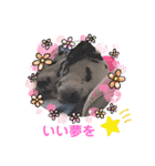 かわいいさくらちゃんマリンちゃん（個別スタンプ：8）