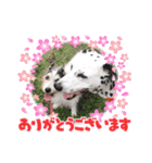 かわいいさくらちゃんマリンちゃん（個別スタンプ：9）