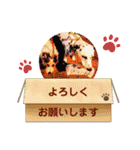 かわいいさくらちゃんマリンちゃん（個別スタンプ：15）