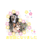 かわいいさくらちゃんマリンちゃん（個別スタンプ：16）