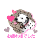 かわいいさくらちゃんマリンちゃん（個別スタンプ：17）