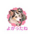 かわいいさくらちゃんマリンちゃん（個別スタンプ：20）