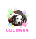 かわいいさくらちゃんマリンちゃん（個別スタンプ：30）