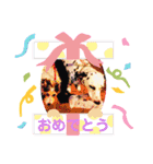 かわいいさくらちゃんマリンちゃん（個別スタンプ：39）