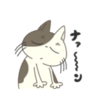 ギラついている猫たち（個別スタンプ：20）