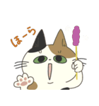 ギラついている猫たち（個別スタンプ：36）