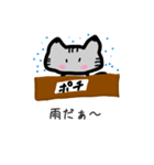 猫ちゃん(●︎´▽︎`●︎)（個別スタンプ：13）