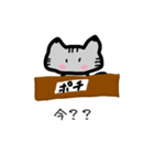 猫ちゃん(●︎´▽︎`●︎)（個別スタンプ：16）