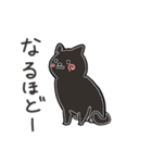 しろねこxくろねこ（個別スタンプ：16）