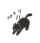 しろねこxくろねこ（個別スタンプ：21）