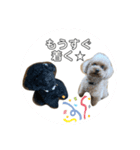 ふわふわ財閥3（個別スタンプ：5）
