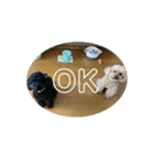 ふわふわ財閥3（個別スタンプ：7）