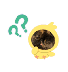 ハナ先輩大集合②（個別スタンプ：5）