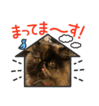 ハナ先輩大集合②（個別スタンプ：7）